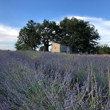 Cabanon Du Berger Villa ซินญอง ภายนอก รูปภาพ
