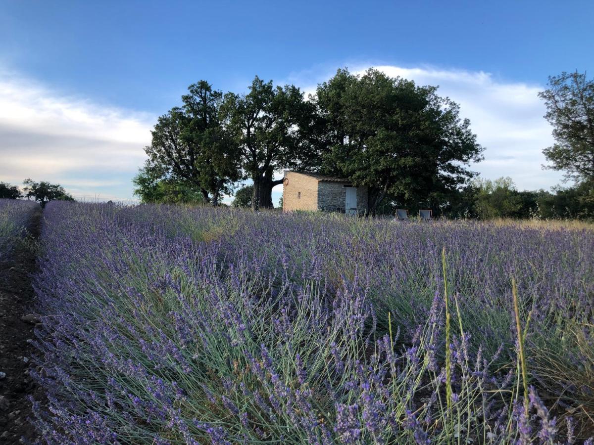 Cabanon Du Berger Villa ซินญอง ภายนอก รูปภาพ